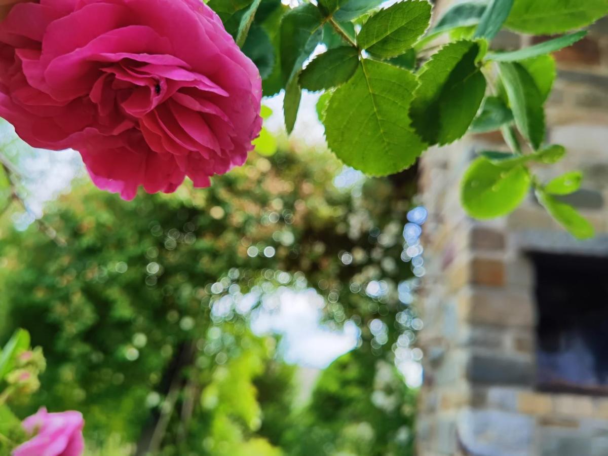 Ferienhaus Eifelrose Simmerath Buitenkant foto