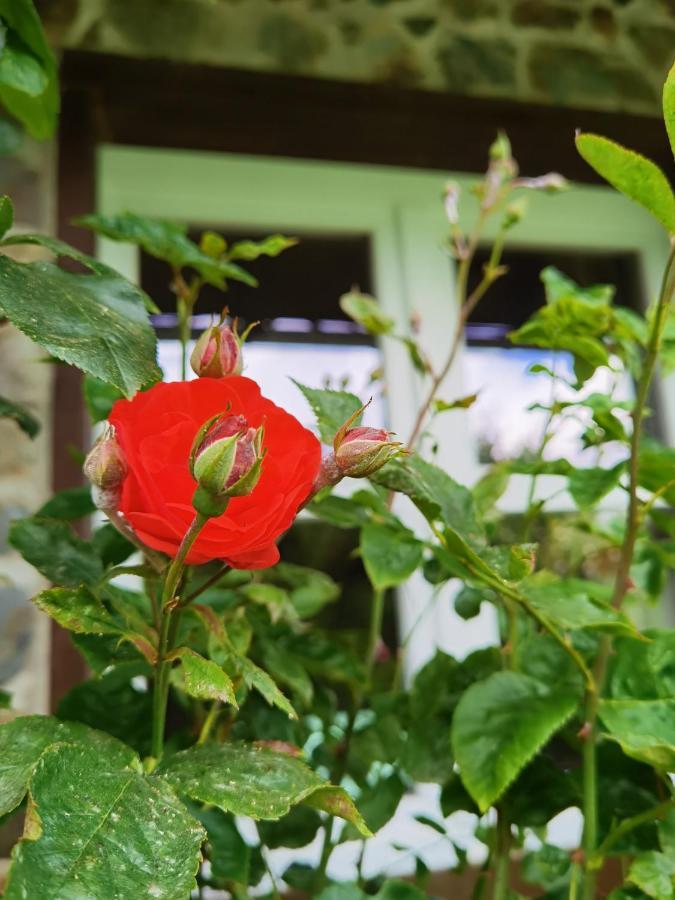 Ferienhaus Eifelrose Simmerath Buitenkant foto
