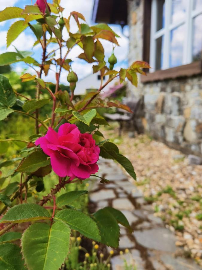 Ferienhaus Eifelrose Simmerath Buitenkant foto