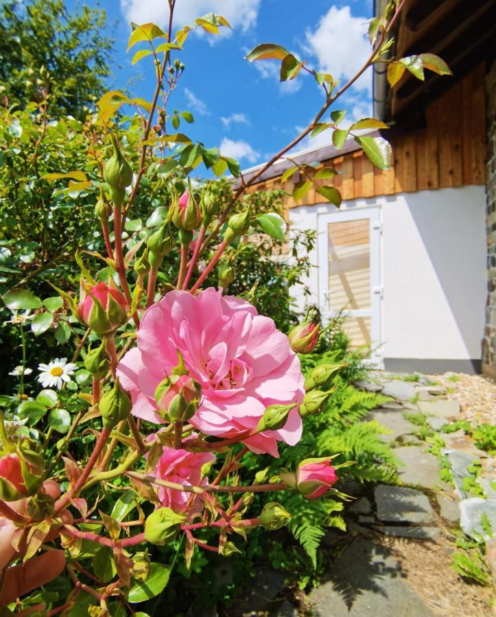 Ferienhaus Eifelrose Simmerath Buitenkant foto