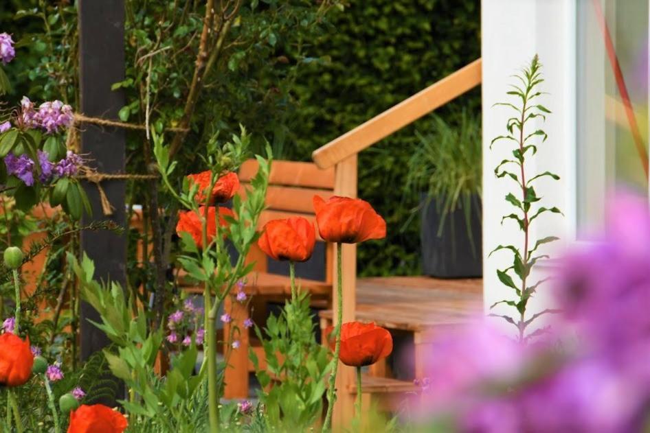 Ferienhaus Eifelrose Simmerath Buitenkant foto