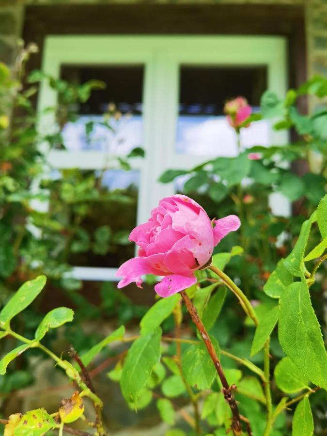 Ferienhaus Eifelrose Simmerath Buitenkant foto